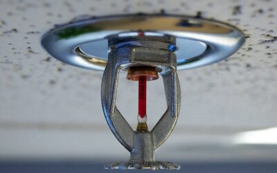 Blog 1 Councils Start Installing Sprinkler Systems