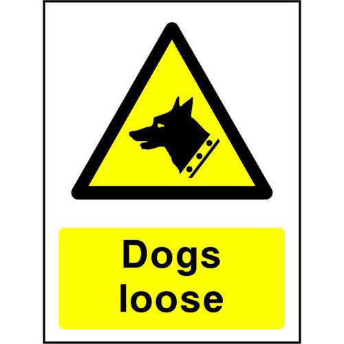 Dogs loose 1 Dogs loose