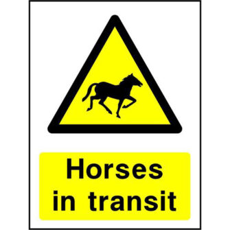 Horses in transit
