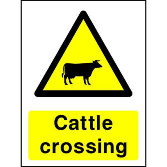 Cattle crossing