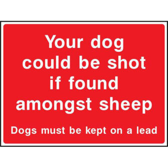 Your dog could be shot if found amongst sheep