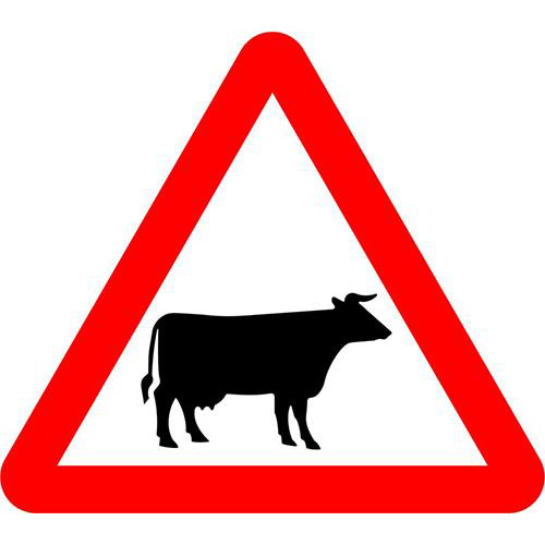Beware of Cattle 1 Beware of Cattle