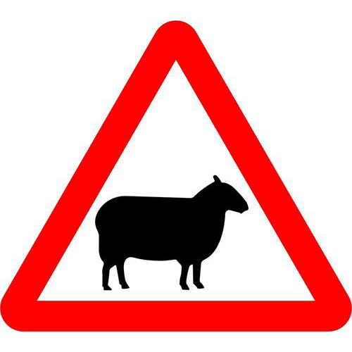 Beware of Sheep 1 Beware of Sheep