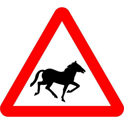 Beware of Wild Horses 1 Beware of Wild Horses